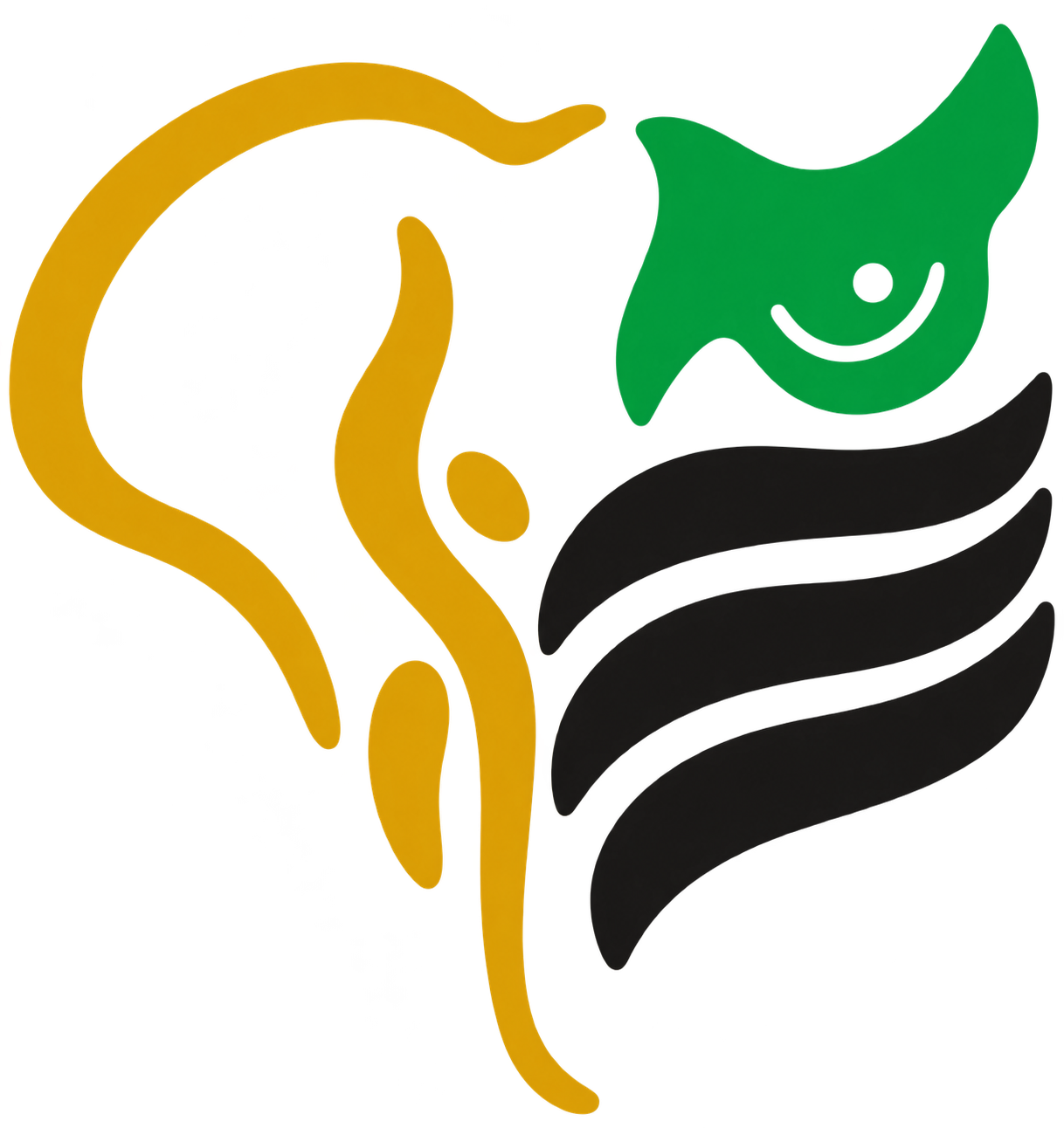 District Companion logo